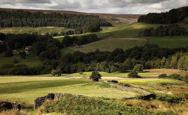 North York Moors