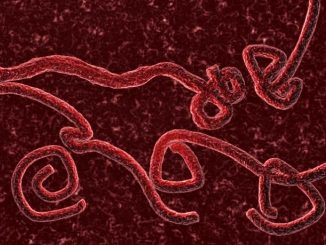 Ebola Treatment Is Working According to Official In Sierra Leone, So Why Such Opposition?