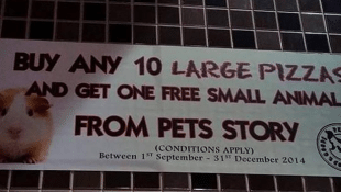 Pizza-Hut-gives-away-a-free-hamster-if-you-buy-ten-large-pizzas