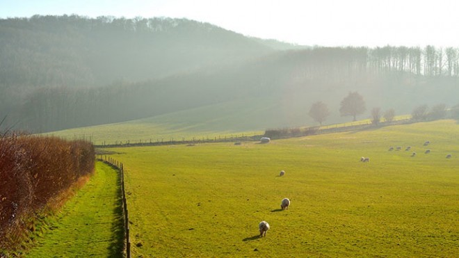 southdownsNationalPark