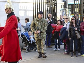 Armed guards seen on the streets of Westminster as military boosts security in the wake of Canadian parliament attack
