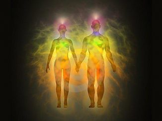 People Can Draw Energy From Each Other – The Same As Plants Do