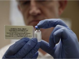 Millions of Ebola vaccine doses by end of 2015, WHO says