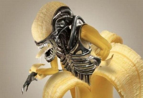 Shocking: GMO Bananas To Be Tested On American Students