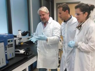 Google nanobots: Early warning system for cancer, heart disease inside the body
