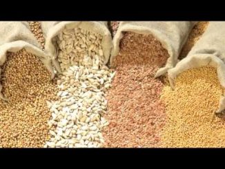 The Criminality of the GMO Biotech Industry. “Poison First, Regulate Later”