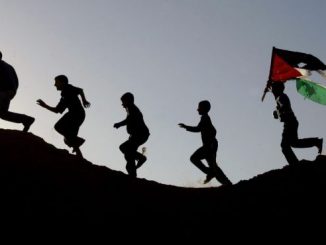 Spanish parliament passes motion on eventual recognition of Palestine