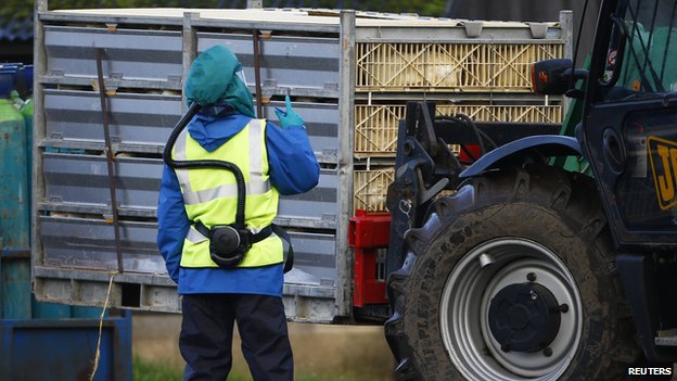 Health expert warns there ‘will probably be human cases’ of bird flu