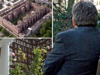 'I watched Tory MP MURDER a boy during depraved Westminster VIP paedophile party'