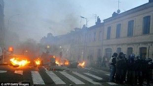 Riots erupt in Southern France over death of eco-activist killed by police grenade