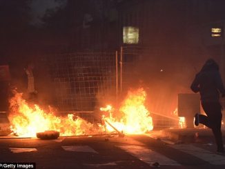 Riots erupt in Southern France over death of eco-activist killed by police grenade