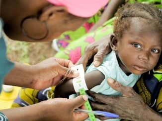 Five million people starving in Mali: UNICEF
