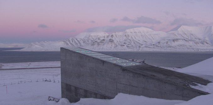 Doomsday Seed Vault Ensures Marijuana’s Survival