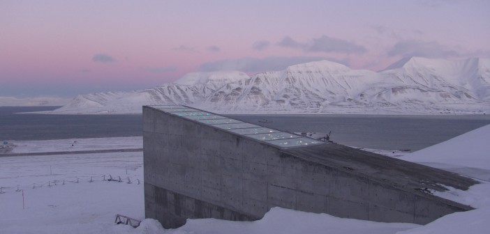 Doomsday Seed Vault Ensures Marijuana’s Survival