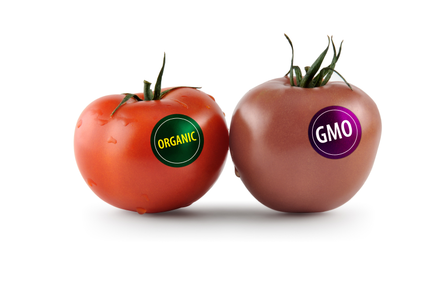 gmo food