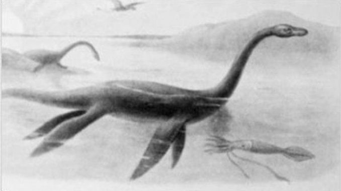 Nessie a fake? Spoilsport conservationists say Loch Ness Monster is just a log