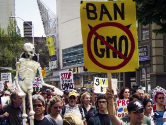 Monsanto to sue Hawaii county over GMO ban