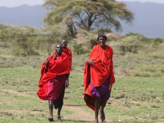 40,000 Africans may be forced to leave their homeland making way for Dubai safari park