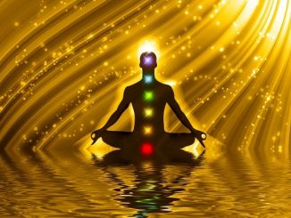 Secrets of the Human Energy Field Revealed