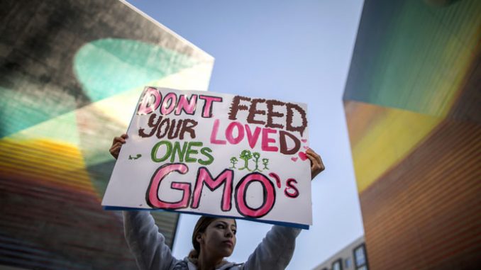 Oregon GMO-labeling initiative defeated by Monsanto-sponsored groups