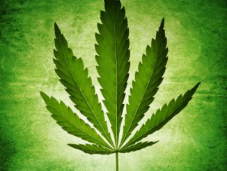 Father arrested in Australia Man for treating child with cannabis oil