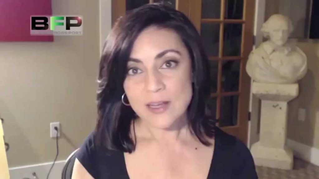 Sibel Edmonds on Gladio B and the Paris Attacks (Video)
