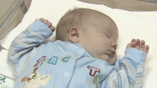 Homeless cat praised for saving abandoned baby