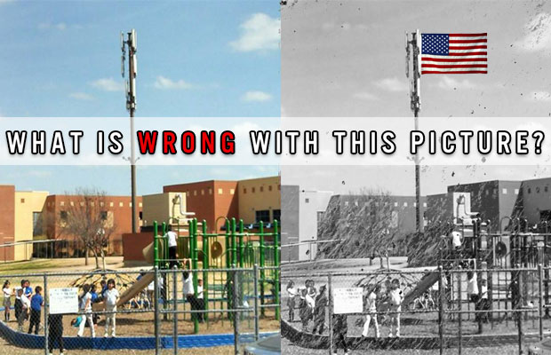 Why Is This Giant Cell Phone Tower in the Middle of an Elementary School Playground?