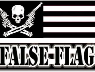 California Senate candidate: Paris attacks false flag op to keep Bibi in power