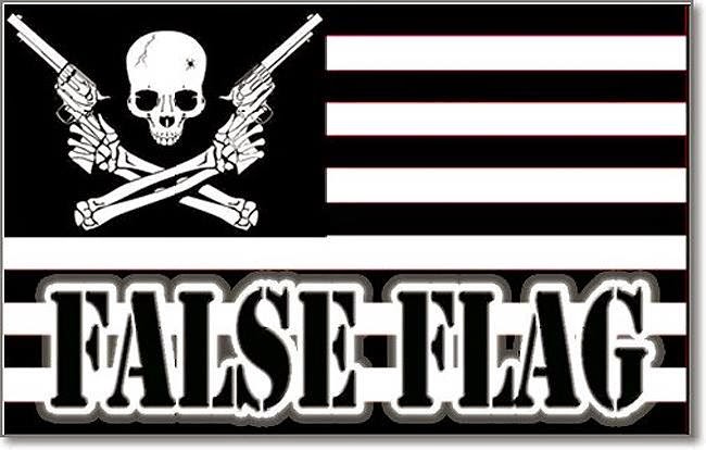 California Senate candidate: Paris attacks false flag op to keep Bibi in power