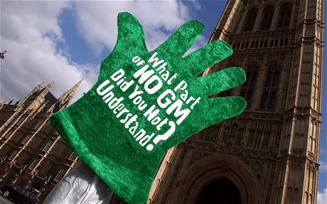 The Government’s Drive to Force GMOs into Britain Against the Will of the People Continues