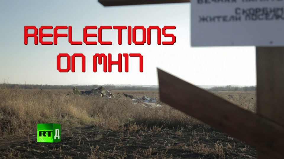 Reflections on MH17 (Video)