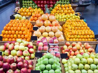 Russia may lift food embargo for Greece if they leave the EU