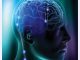 Brain Implant Powered From The Spine Being Developed By DARPA