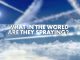 What in the World Are They Spraying? (Video)