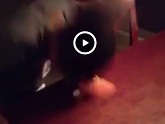 Twitter gone Bonkers