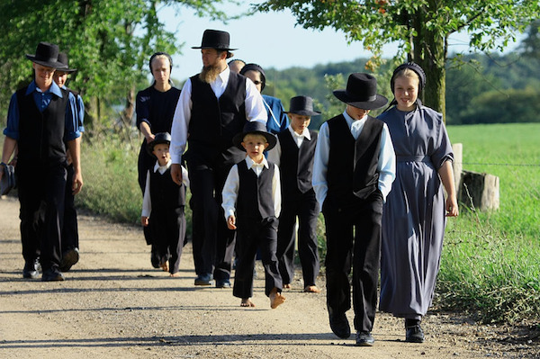 Why don't Amish children get autism?
