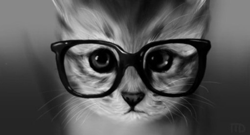clever-cat