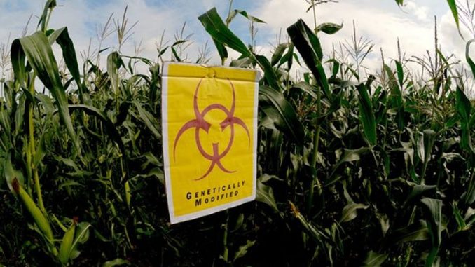 MP's Want To Rebrand GM Food To Avoid Public Fear