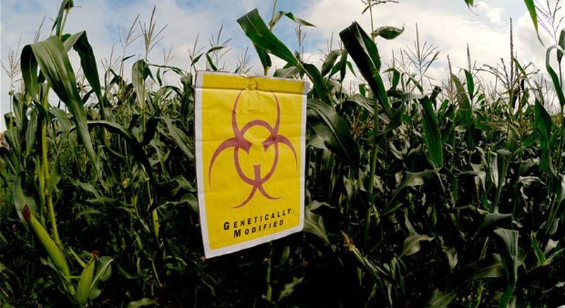 MP's Want To Rebrand GM Food To Avoid Public Fear