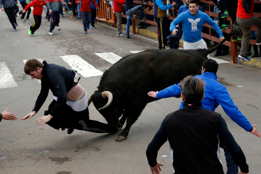 bullfighting
