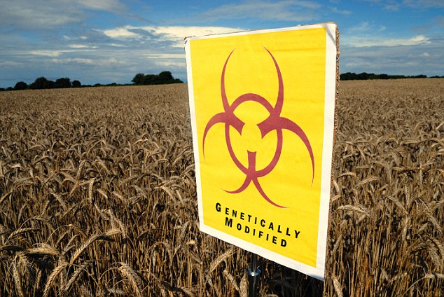 Tests Reveal That Wind Carries 'Toxic’ GM Pollen For Miles