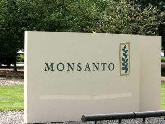 Monsanto Rejects WHO Verdict That Roundup ‘Probably’ Causes Cancer