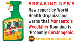 Monsanto Rejects WHO Verdict That Roundup ‘Probably’ Causes Cancer
