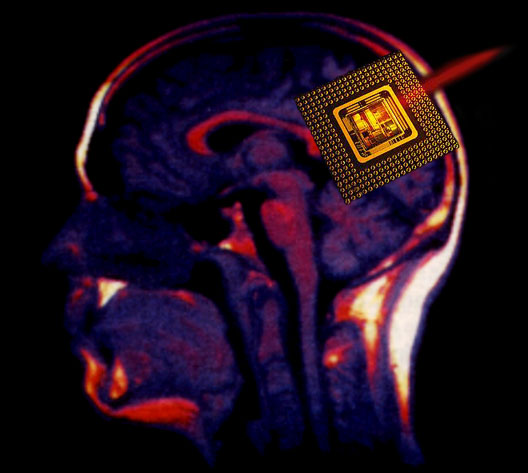 Head Of Paypal Wants Brain Chips to Replace Passwords