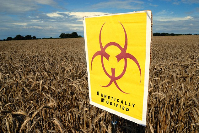 EU Ready For 17 New Genetically Modified Products