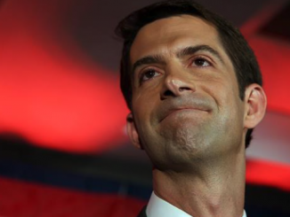 Senator Cotton