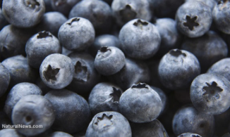 superfoods