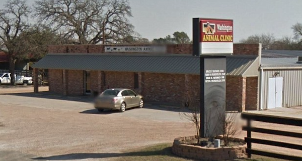 Veterinarian Kills A Cat_Veterinarian Kills A Cat