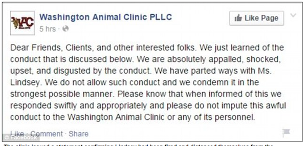 Veterinarian Kills A Cat_Screen Shot 2015-04-18 at 2.28.25 AM